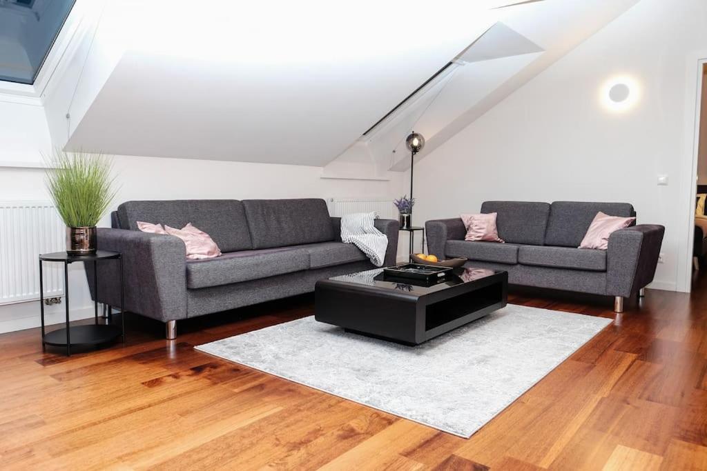#stayhere - Spacious Luxury Town Hall 3bdr Vilnius
